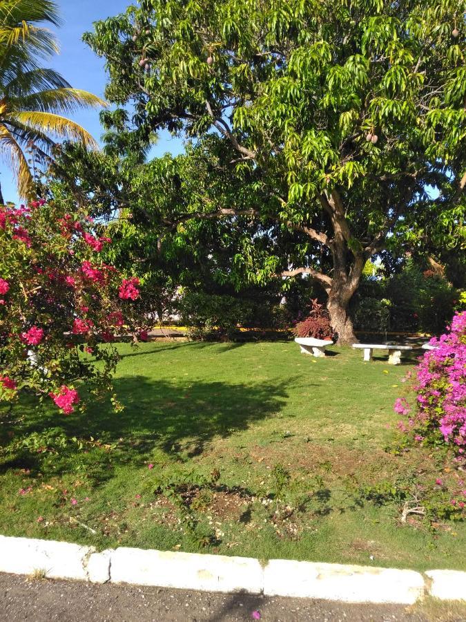 Appartement Irresistible View-Mobay Club 1408 à Montego Bay Extérieur photo